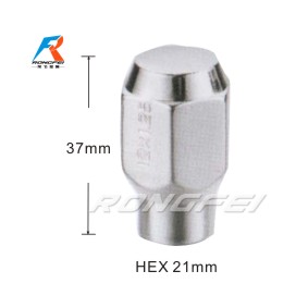 RF-2018->>wheel nut